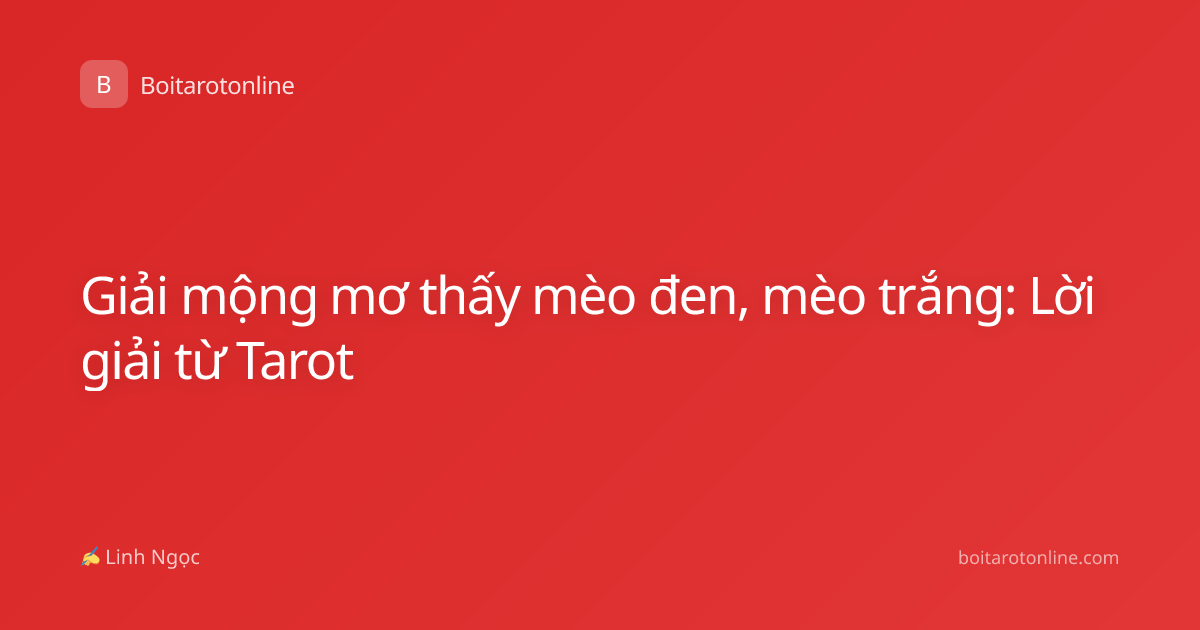 Giải mộng mơ thấy mèo đen, mèo trắng: Lời giải từ Tarot
